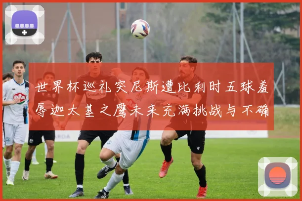 世界杯巡礼突尼斯遭比利时五球羞辱迦太基之鹰未来充满挑战与不确定性